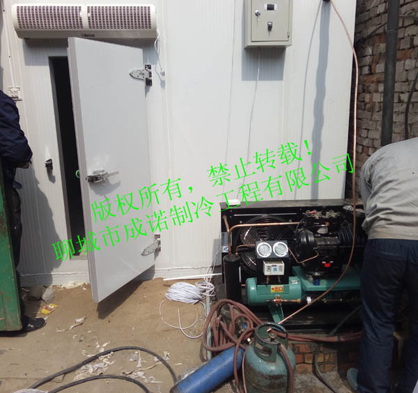 高唐縣水果蘿卜示范基地
