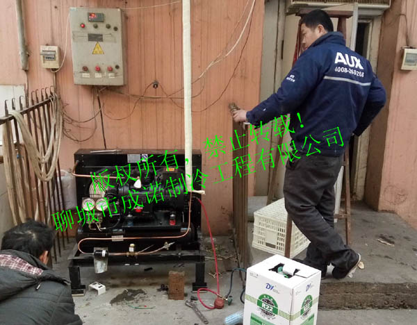 高唐縣水果蘿卜示范基地